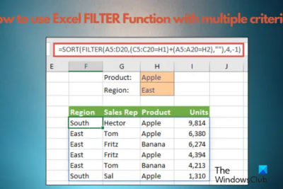 How to use Excel FILTER Function with multiple criteria.png
